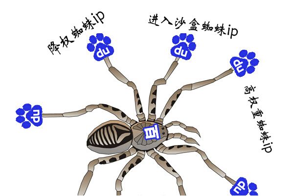 如何识别正确的百度蜘蛛？